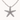 Silver Star Rope Necklace
