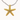 Gold Star Rope Necklace